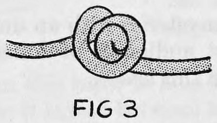 Fig. 3. — A close view of one slip knot tied in the rope.