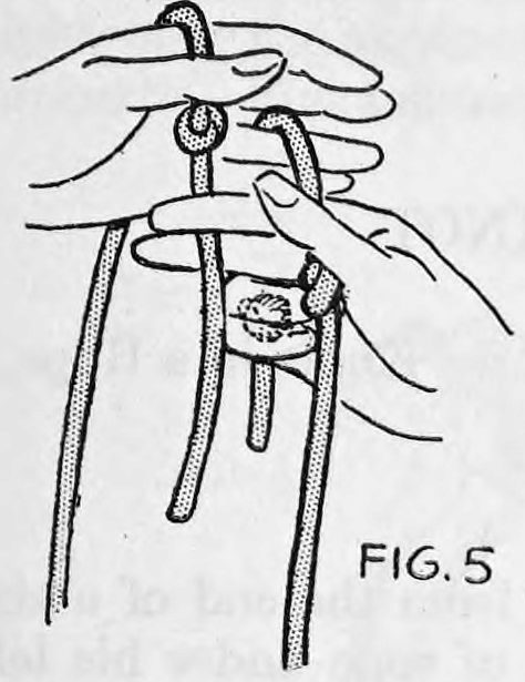 Fig. 5. — Close view of both hands: the right end of the rope held between the second and third fingers of the left hand, the left end between two fingers of the right, knots hidden.