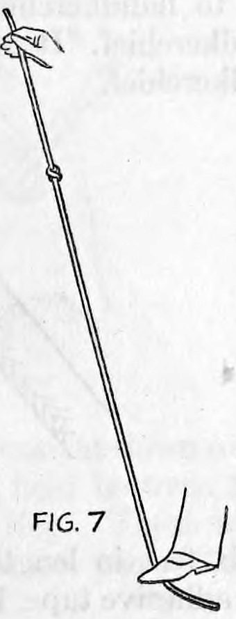 Fig. 7. — The rope pulled taut from the foot upward, a knot now tied in its upper part, the knot that has jumped from the lower part.