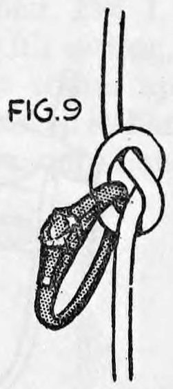 Fig. 9. — Close view of the rope with a knot tied in it and the borrowed ring hanging in the knot.