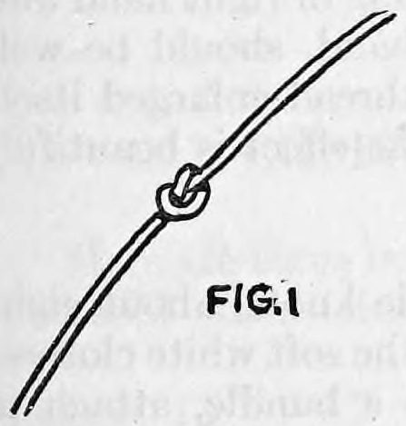 Fig. 1. — A length of clothesline running diagonally with a single knot tied in its center.