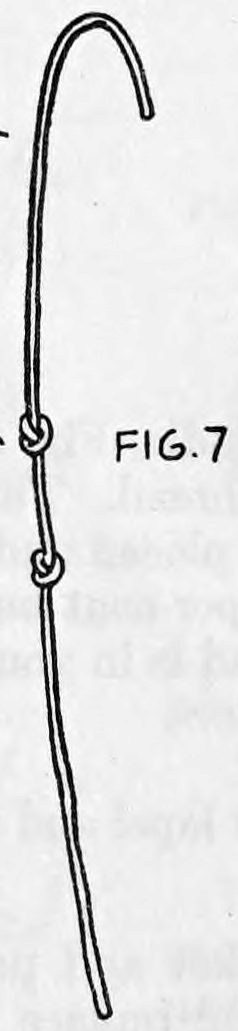 Fig. 7. — A length of soft white clothesline hanging in an arch with two single knots tied in it about eight inches apart.