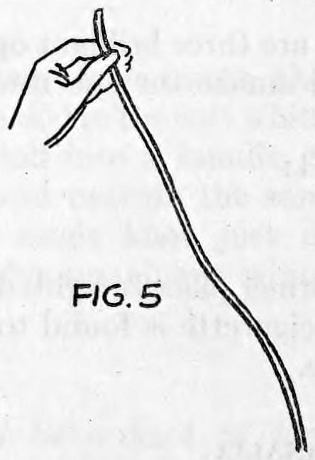 Fig. 5. — The left hand held up with the opened white rope unwinding and hanging in a long diagonal line from it.