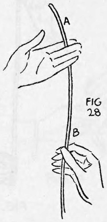 Fig. 28. — The rope held between the right thumb and first finger near end A and the left hand near end B, with the rope hanging straight between the hands.