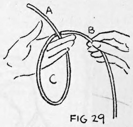 Fig. 29. — The right hand brings end B up behind end A, making an oval loop C between the hands.