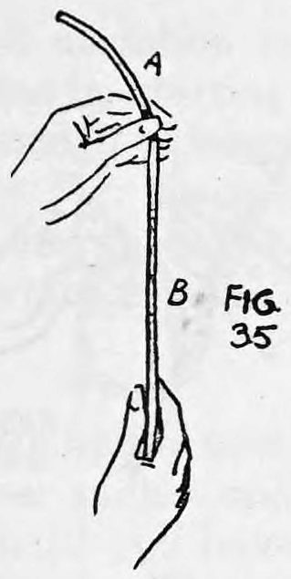 Fig. 35. — The rope hangs straight between the hands, end A held in the left fingers above and end B at the right hand below.