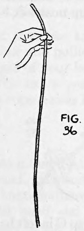 Fig. 36. — The rope hangs straight from the left hand alone, the knot gone, with the right hand removed.