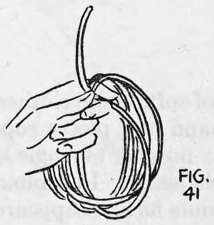 Fig. 41. — Many loops of rope are gathered in the left hand, whose thumb and first finger hold the right hand end.