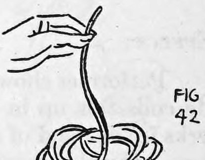 Fig. 42. — The magician holds up one end of the rope in his right hand, and the rest falls to the table in a loose coil.