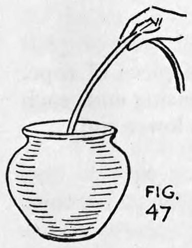 Fig. 47. — A hand lifts one rope out of a round jar or bowl, the rope hanging straight.