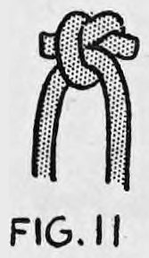 Fig. 11. — A small tight knot with the ends clipped off close to the knot proper.