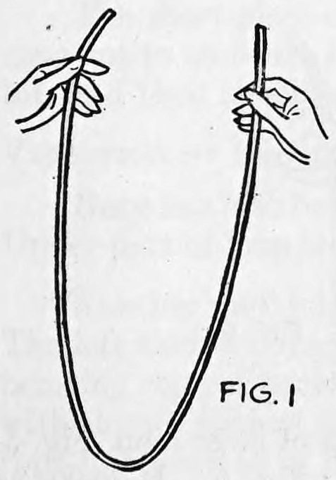 Fig. 1. — The clothesline hangs in a long loop with an end held in each hand, the hands raised at the top.