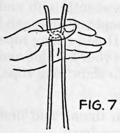 Fig. 7. — The left thumb screens the loop made with the short and long pieces, two rope ends hanging down below the hand.