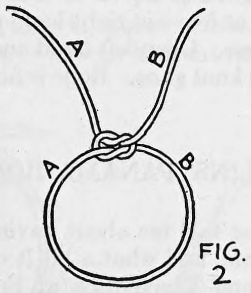 Fig. 2. — A second single knot tied in the rope, making a double knot above a round loop, with the rope sides lettered A and B and the B side coming out at the right.