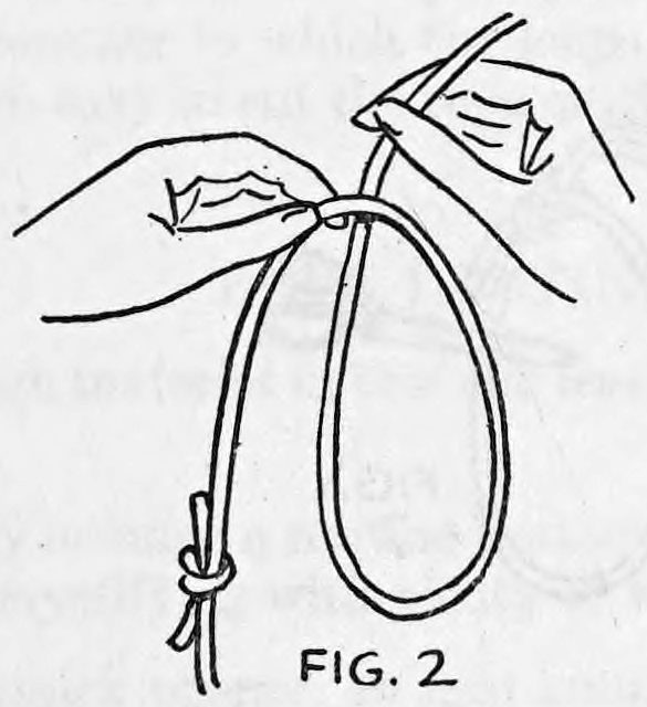 Fig. 2. — The left hand holds the rope, with the right end brought up in front to begin a single knot, a loop hanging below and a knot near the bottom.