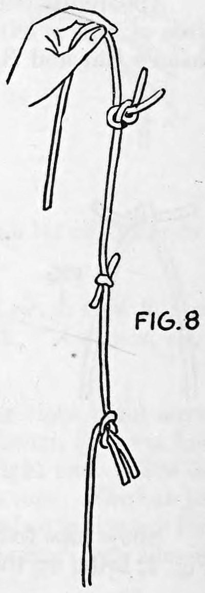 Fig. 8. — The left hand holds the rope up at the top, showing the cut loops and the three knots spaced along its length.