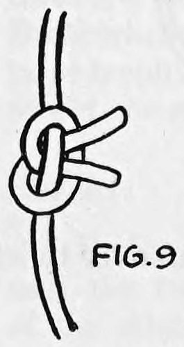 Fig. 9. — A close view of the upper knot as it takes shape when the rope is pulled taut, with its short ends sticking out.