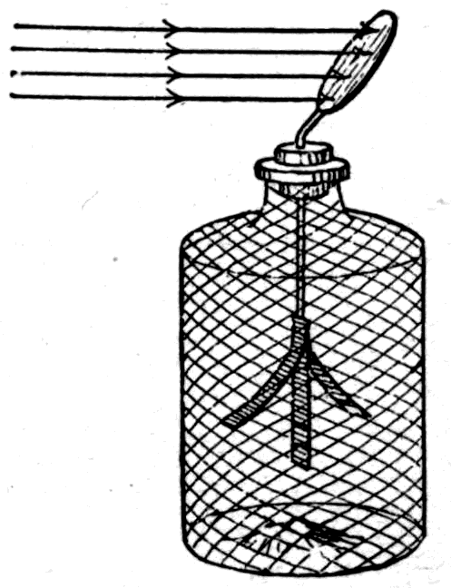 The aluminium-leaf electroscope with a tilted zinc disk on top. Charged negatively, its leaves stand apart; throw ultra-violet light on the disk and they fall together again.
