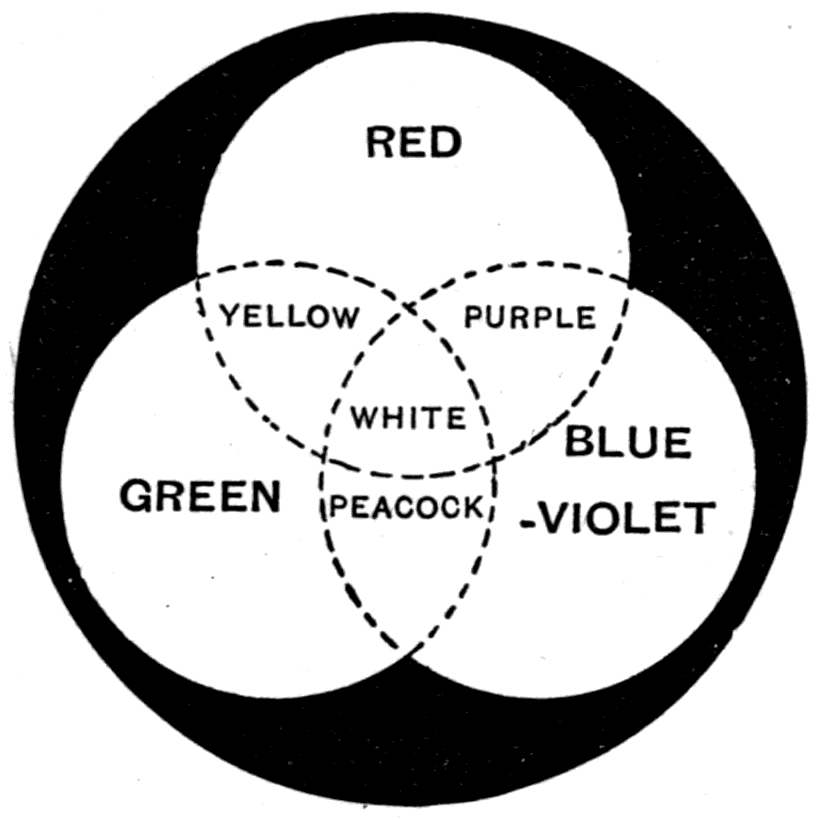 The three coloured disks of light thrown so as to overlap. Red and green make yellow, green and blue-violet make peacock, blue-violet and red make purple, and where all three cross at the centre the result is white.