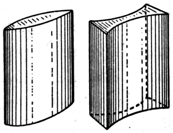 A cylindrical lens, curved one way only and thicker down its middle than at its two edges. It stretches everything from side to side while leaving it unaltered from top to bottom.