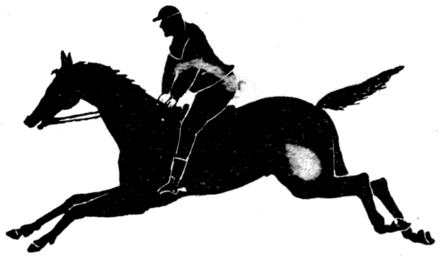 The thaumatrope — a card with a horse painted on one face and his rider on the other. Twirled on its strings, the two pictures become one and the rider is mounted.