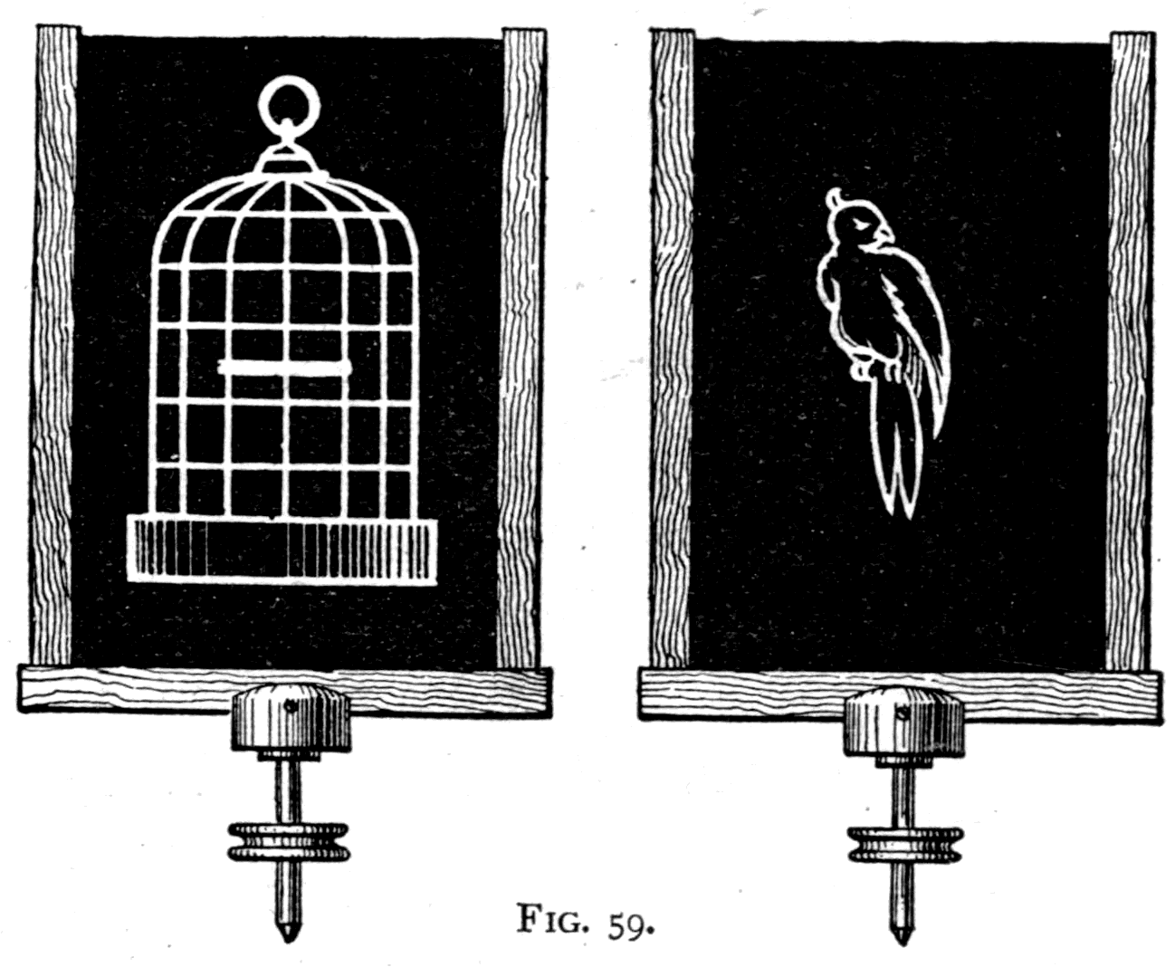 The birdcage version of the same trick, spun by a band and pulley instead of by breath. The cage is on one face of the card, the bird on the other; spin it and the bird is inside.
