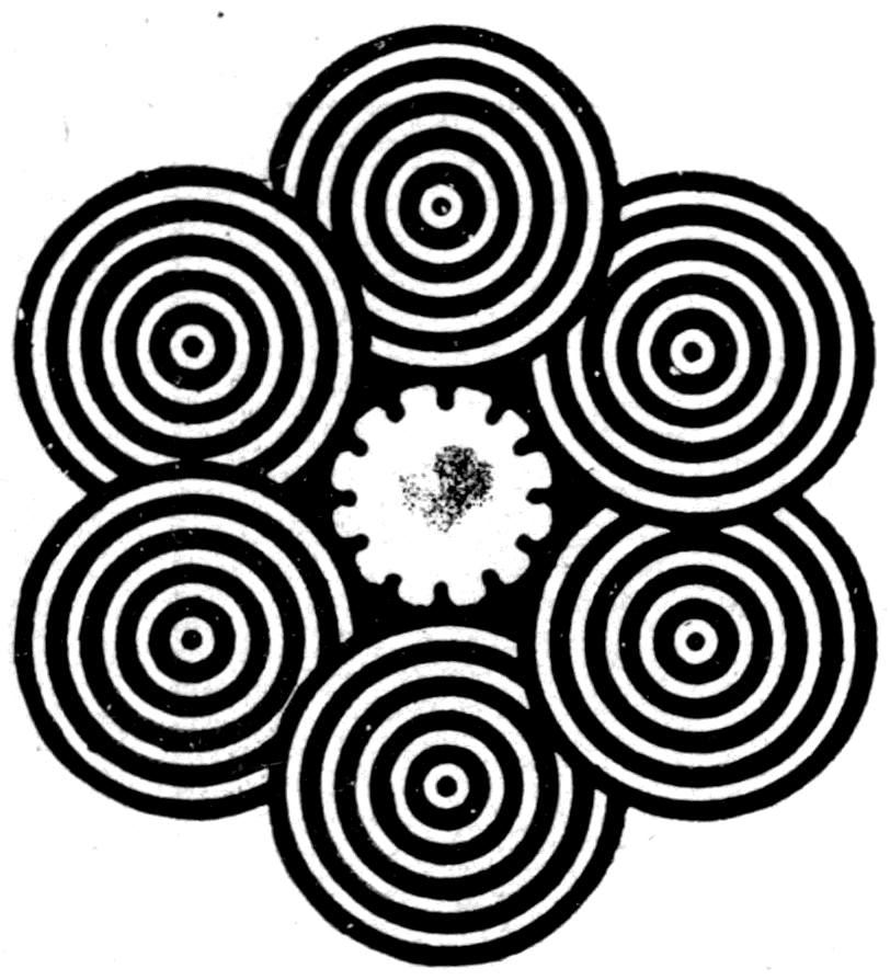 The strobic circles — black and white patterns which, given a small rinsing motion, seem to spin on their own axes.