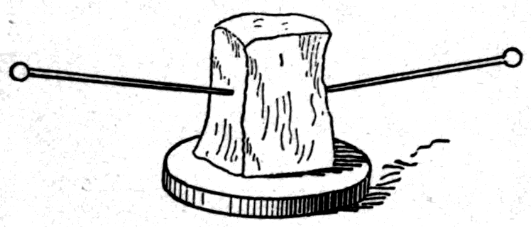 The wave-motion model turned on its side, so that the little white balls swing towards the audience and away from it while the wave still runs along the row from left to right.