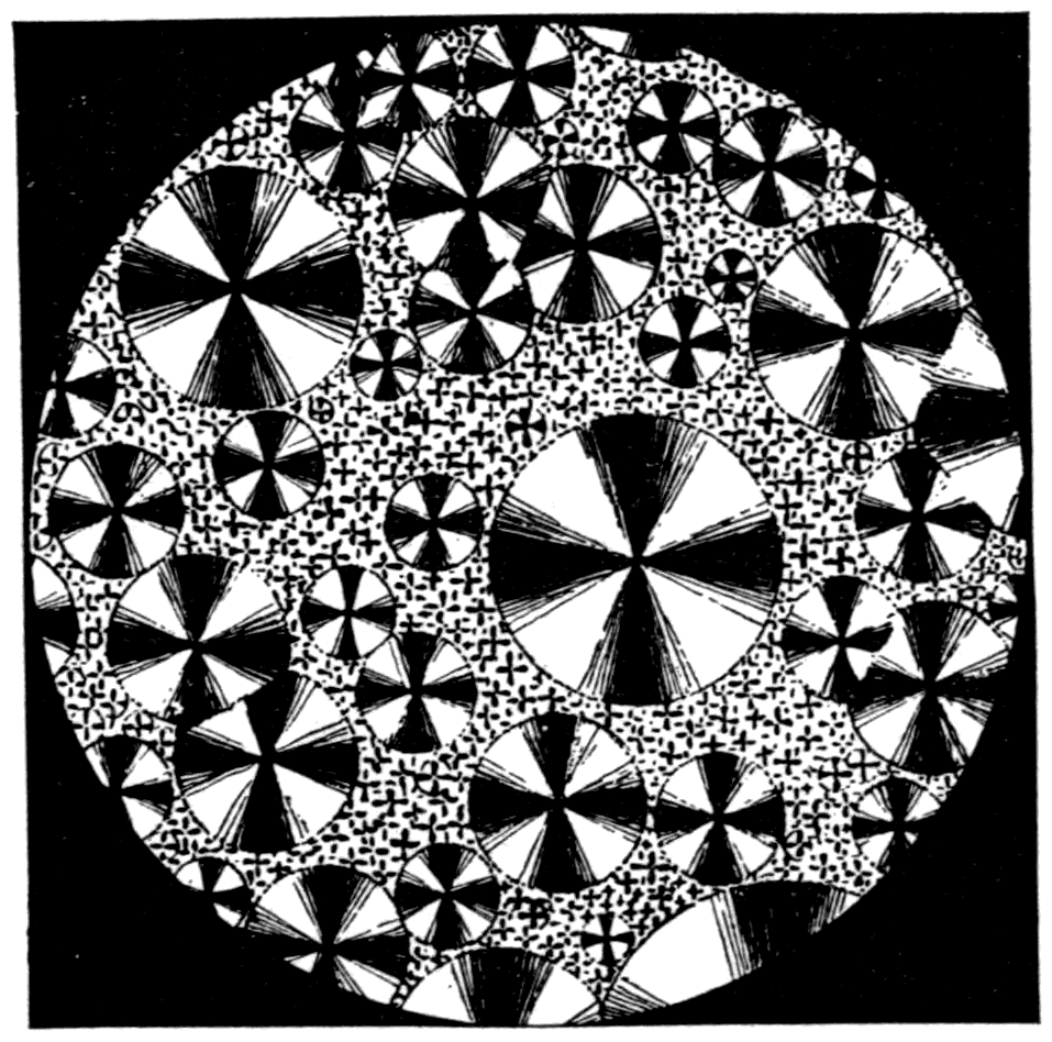 A field of salicine crystals in polarised light. Each little circular group has grown radially from its own centre, and each carries a black cross where no splitting of the light takes place.