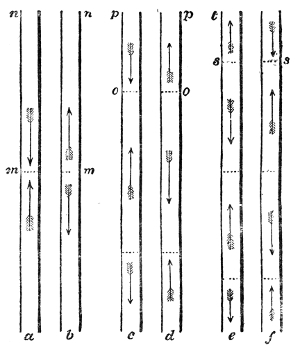 The first three modes of an open pipe. In a and b there is a single node m; in c and d two, at o and below; in e and f three, at s and below — each end of the pipe always being a place of free vibration, whichever mode it is in.