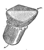 Helmholtz's artificial vocal cords. The end of the tube is cut away in two slanting faces, and a band of indiarubber is stretched over each, leaving a slit between them that speaks when air is driven through it.
