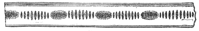 The dust when the column of air is not an exact multiple of the wave length: heaps at the nodes, but the dust between them still combed into fine crosswise ridges all along the vibrating segments.