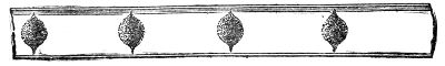 The dust when the column of air is an exact multiple of the wave length: the vibration has swept the segments completely clean and the powder stands in four isolated heaps, one at each node.