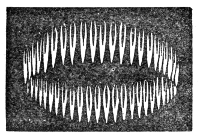 The image of a singing flame drawn out by a tilted mirror — not a continuous band of light but a chain of separate flames, one for each time the flame goes out and relights.
