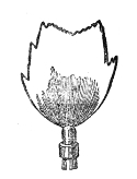 The thin sheet of flame from a common fish-tail burner, standing quiet and ragged-edged with the gas turned nearly to the point of flaring.