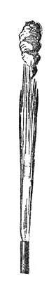A long, straight, smoky flame from a single round opening, its tip curling over into soot.
