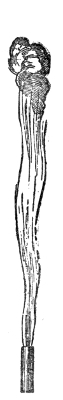 Another smoky flame, tall and wavering, with a knot of soot at its head.
