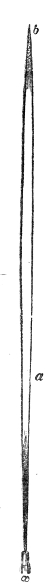 The vowel flame at its full height — a slender column 24 inches tall, from its root a to its tip b, standing perfectly steady until a sound reaches it.