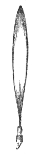 The same flame at a chirrup — collapsed to a short, pale, almost lightless spindle a fraction of its former height.