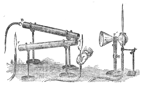 Mr. Cottrell's echo experiment. The reed at B sends its sound down the tube towards the flame F′; the invisible hot layer above the bat's-wing flame at the far end of that tube reflects part of the sound down the second tube to the flame F, so that as one flame falls quiet the other is thrown into commotion.