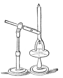Hopkins's forked tube. The single tube A is closed at the top by a sanded membrane and divides below into two branches, whose open ends are held over two sectors of the vibrating disk.