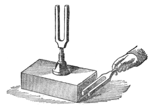 One fork sounding on its resonant case while the other, freshly struck, is brought near the mouth of the case: loud beats declare that the two are no longer in unison.