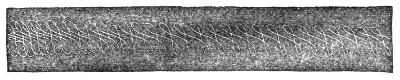 The figure of eight drawn out sideways by the turning mirror — a long band crossed by an endless run of interlacing loops.