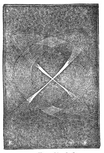 One of Mr. Tisley's figures, from two pendulums vibrating as 2 : 3, its fine lines closing in on ever smaller areas as the swings die away.