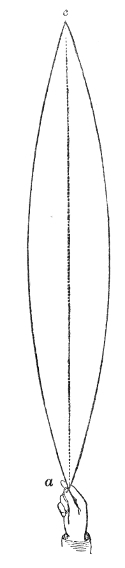 The twenty-eight-foot indiarubber tube hanging from the ceiling at c. Held at its free end a and swung with well-timed impulses, it sweeps to and fro as a single great loop.