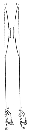 A single pulse reflected. The hump runs up the tube to the fixed end c as in (1), and comes back in (2) turned over on the other side; the arrows show which way it is travelling.