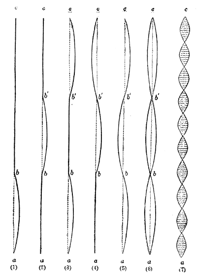 The tube divided into more and more segments. Panels (1) to (6) follow the pulses that set up two nodes, b and b′, and three swinging loops; panel (7) shows the same tube driven into a whole ladder of segments, each pair separated by a node.