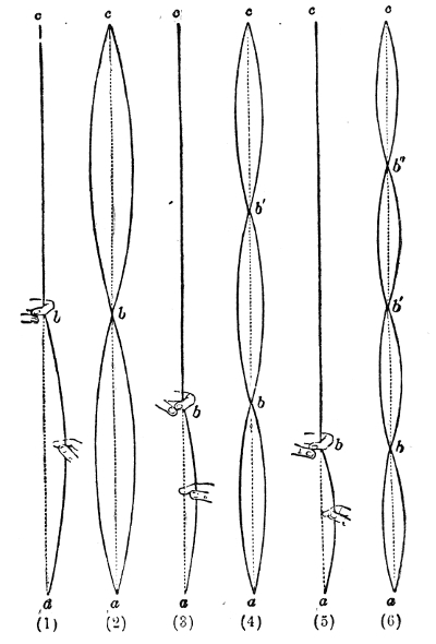 Damping the tube at different points. In (1) the fingers encircle the middle b and the lower half is plucked; in (2) both halves swing with a node at b. In (3) and (4) the hold is a third of the way up and three segments appear; in (5) and (6) it is a quarter of the way up and four appear, with the nodes b, b′ and b″ between them.