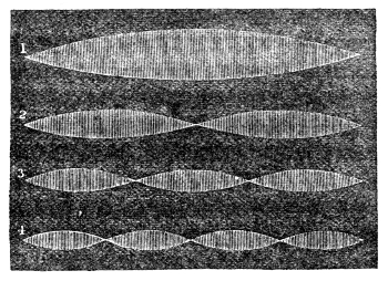 The four cases photographed one under another — the string as a single spindle in 1, then divided into two, three and four spindles in 2, 3 and 4, with the nodes pinched sharp between them.
