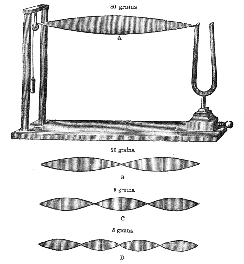 One fork, four weights. With 80 grains the string swings as a single loop, A; with 20 grains it divides into two, B; with 9 grains into three, C; and with 5 grains into four, D.